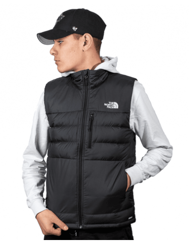 Doudoune sans manche Noir The North Face online